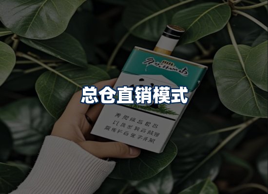 专业团队办公环境